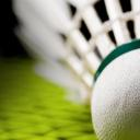 Intermediate /r/Badminton Discord Server Icon