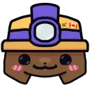 Mole Co.⛏