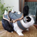Fate/Light of Extinction