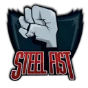 Steel Fist