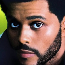 Discovery icon for The Weeknd Discord server