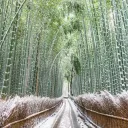 Kyoto