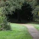 The Path Discussions