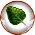 Bodhi Linux