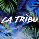 La Tribu🌴