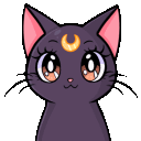 Itty Bitty Kitty Committee