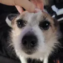 ANAL ANAL ANAL ANAL ANAL ANAL ANAL ANAL ANAL ANAL ANAL ANAL ANAL ANAL ANAL ANAL ANAL ANAL ANAL ANAL