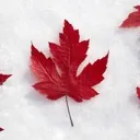100%canadiens