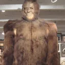 HairyTreeMan
