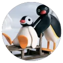 Penguin Tour