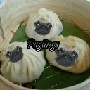 Pugs