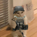  ̃”*°• Toman •°*” ̃