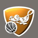 Ranked Hoops icon