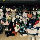 furry pride!