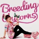 Breeding Unicorns Server