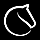 lichess.org icon