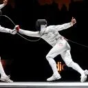 /r/Fencing