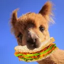 The Sandwich Bar