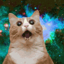 Gatofóbicos