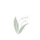 Convallyria icon