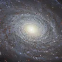 The Spiral Community