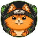 FeineKatze