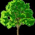 TreeStats