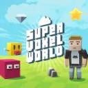Super Voxel World