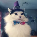 /r/WholesomeMemes