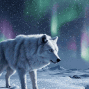 WolfSpirits