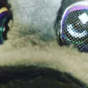 Dreamless Wolf Pack