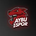 AYBU Esports Society