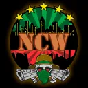 New Criminal World