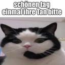 sinners (arbeitslosencord) avatar