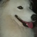 HANNA