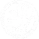 3vLeague