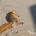 I dont know what to name this