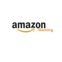 Amazon Gaming Network(AGN)