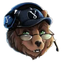 The Bear Den