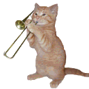 🐱Страна Котят Америи Химе🐱