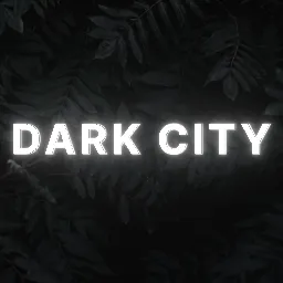 -𝕯𝖆𝖗𝖐 𝕮𝖎𝖙𝖞- — мониторинг Discord сервера, статистика и рейтинг