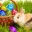 Szkolny Chatroom (official)