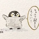 てたもんザバー