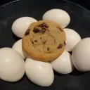 Cookiejay's Nest