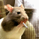 The Cool RAT Club