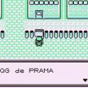 PRAMA initiative
