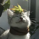 the big leaf