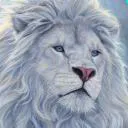 Christian Grace Discord Server Icon