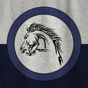 [AR] Anatolian Raiders