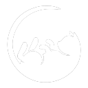 driftcord icon